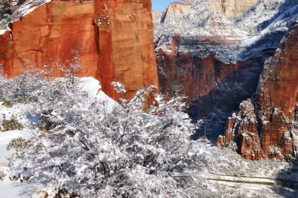 Backcountry Adventures in Zion National Park | Zion Jeep Tours