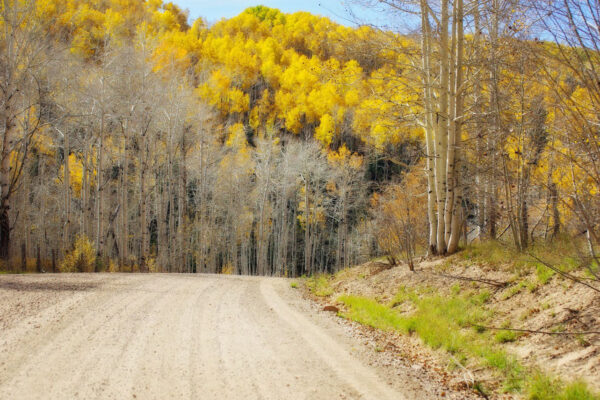 Backcountry Adventures in Zion National Park | Zion Jeep Tours